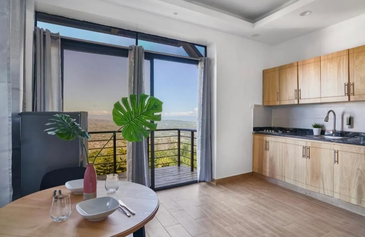 Villa Favella-Pop-Art-View-7Br-Jamaca De Dios-Balcony-Dream Харабакоа